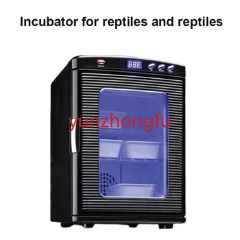Ящерица Змея Хамелеон Холодильник Коробка для брожения при постоянной температуре Маленькое Черепашье яйцо Автоматический инкубатор для рептилий 16
