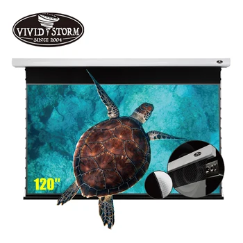VIVIDSTORM 120-дюймовый PRO P Тонкий моторизованный Раскрывающийся экран UST Проектор ALR 4K потолочный Звук с акустической перфорацией экрана 23