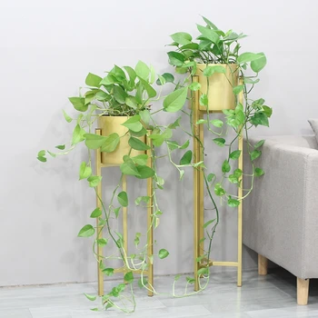 Nordic Light, Роскошные золотые железные полки для комнатных цветов от пола до пола, украшения для гостиной, декоративные растения зеленого ананаса 9